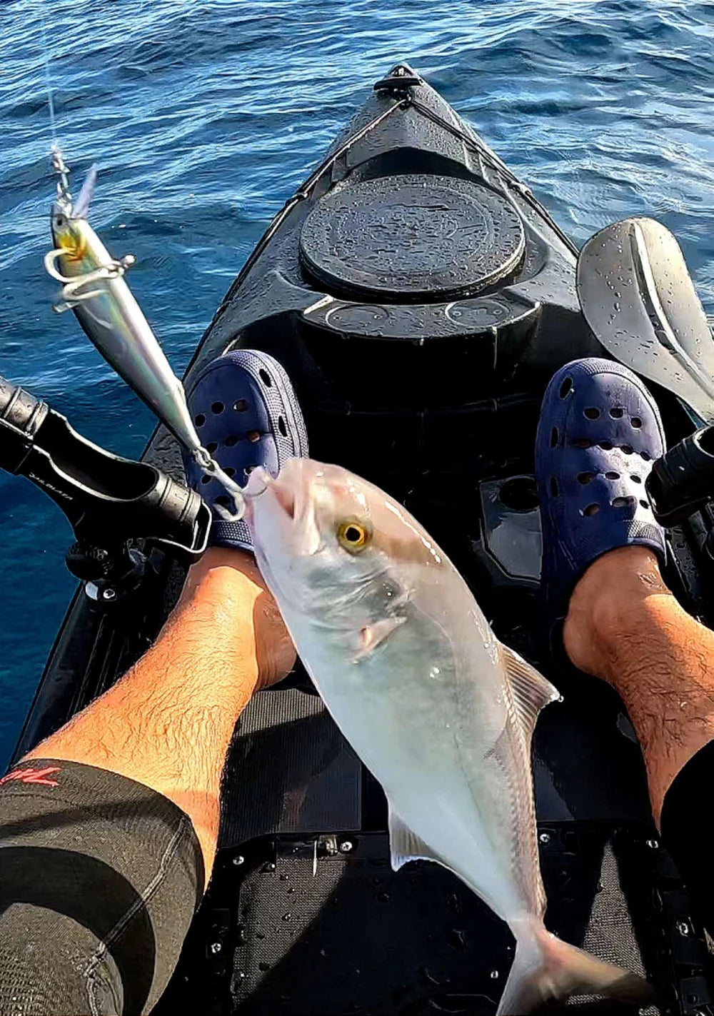 Suspending Minnow Jerkbait Crank